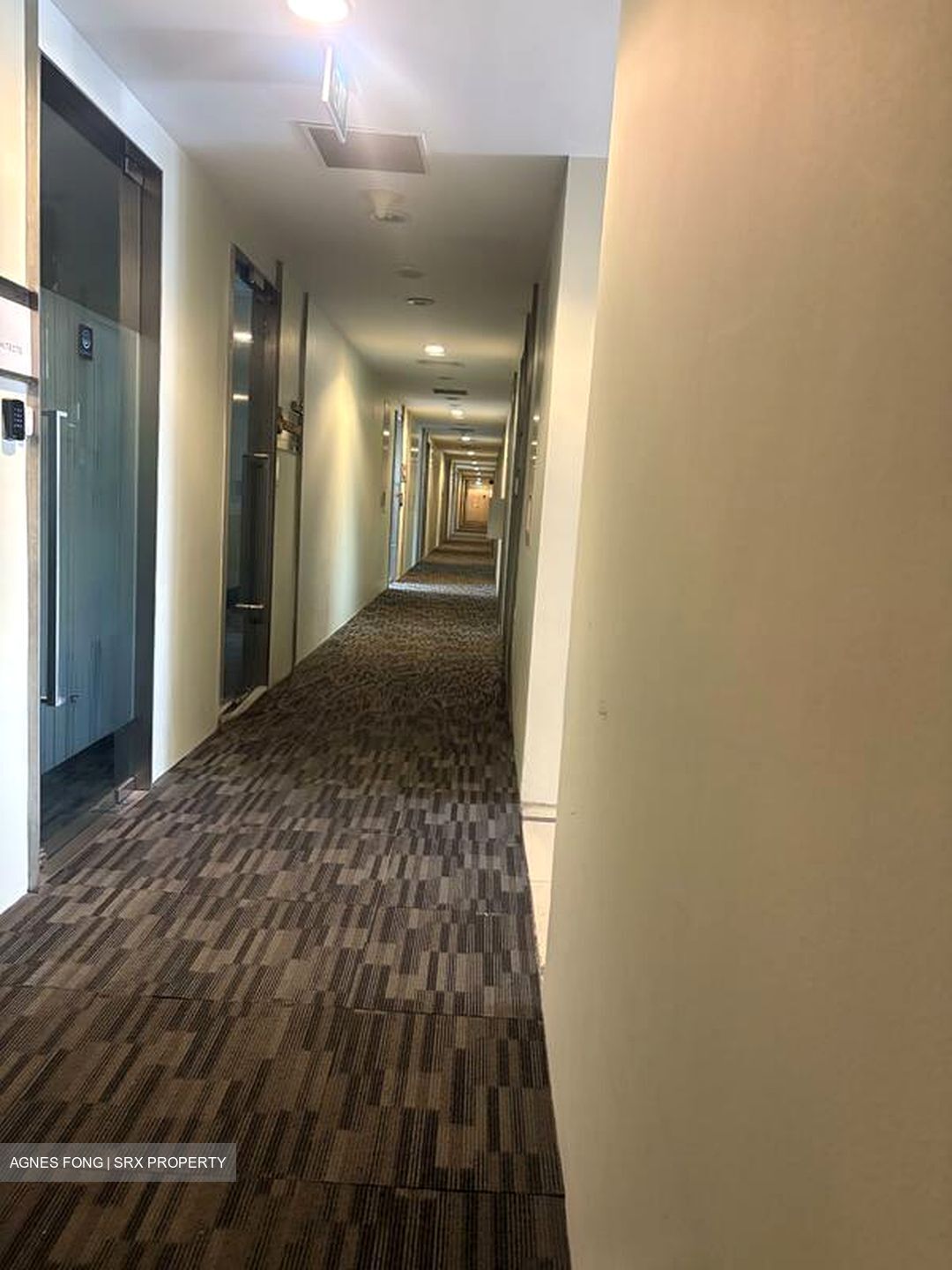 Paya Lebar Square (D14), Office #522222741